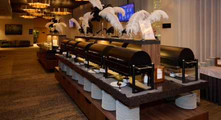 Laulu- ja tantsupidu 2025