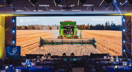 20250121_103822_SilverGutmann_R62_8212