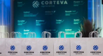 20250121_171941_SilverGutmann_R62_9109